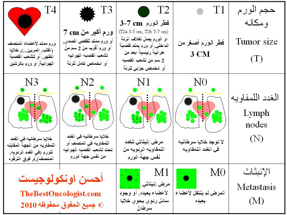 تدريج سرطان الرئة