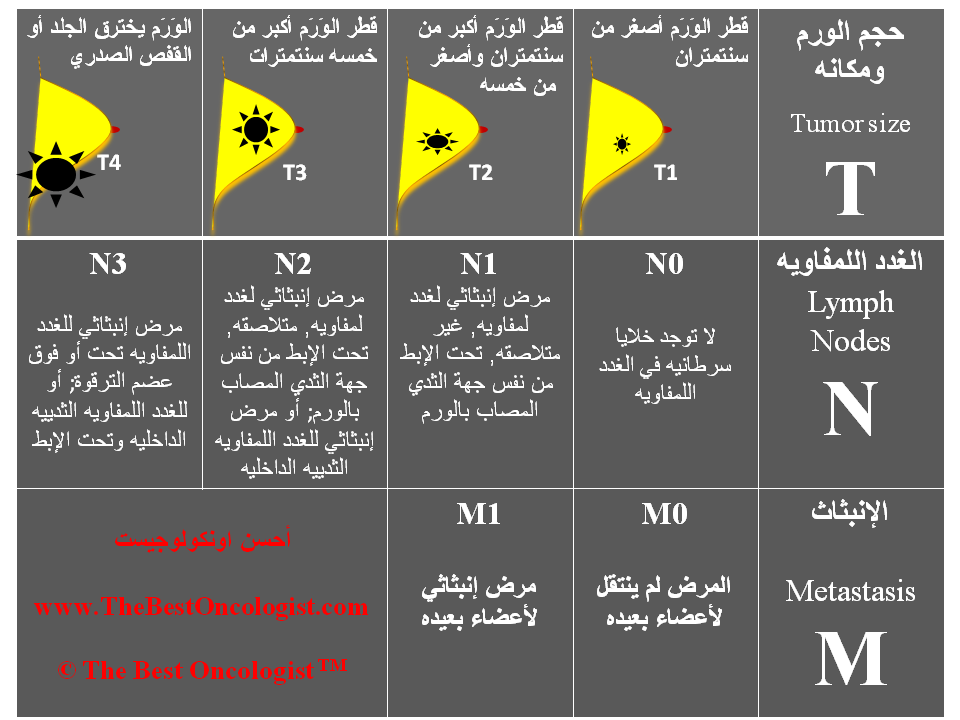 درجات سرطان الثدي