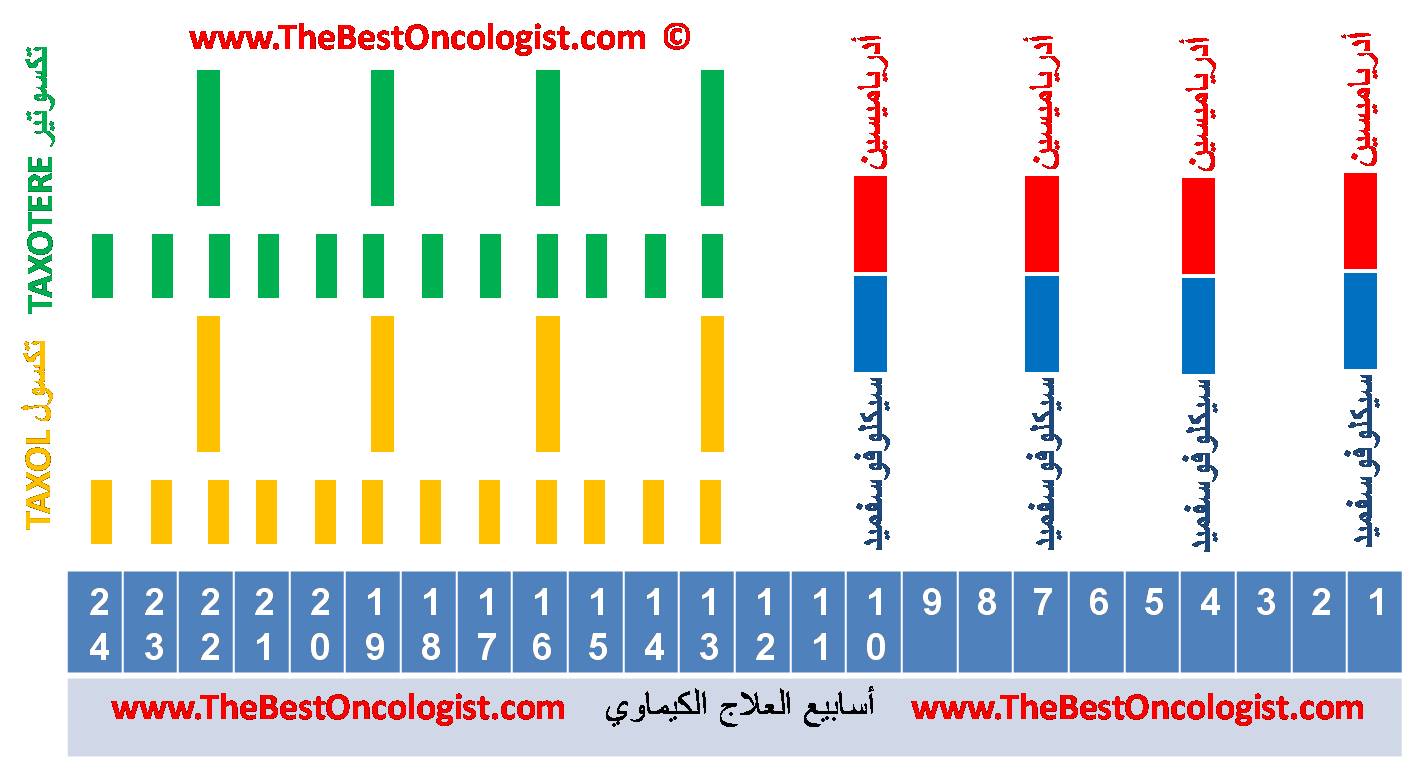 تكسول مقارنة بتكسوتير