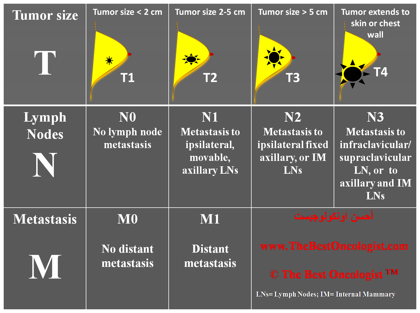 Breast cancer staging