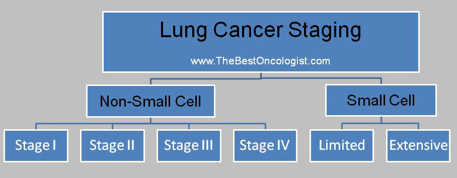 Non Small Cell Lung Cancer Staging